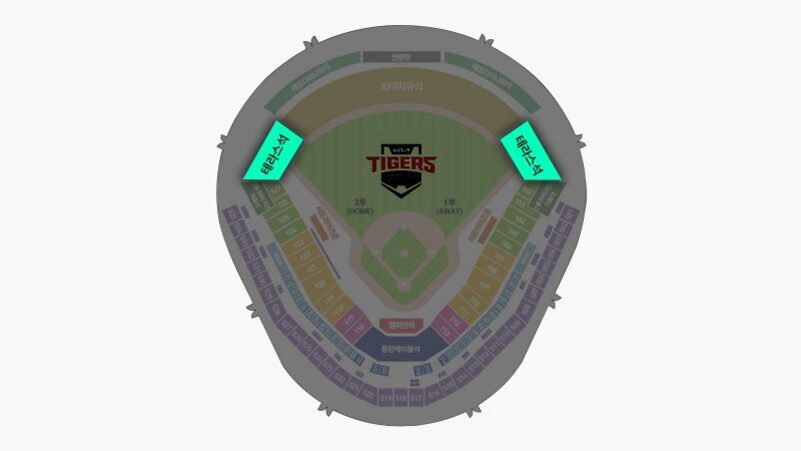 기아 타이거즈 홈구장의 좌석 배치도 이미지로, 중앙에는 구단 로고가 있고 외야 양쪽에 '테라스석'이 강조되어 있음.